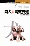 肉犬的高效养殖