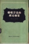 烟煤浮选的理论纲要 封面