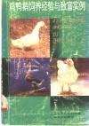 观鸭鹅饲养经验与致富实例