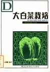 大白菜栽培