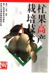 杧果高产栽培技术