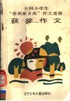 全国小学生“爱我家乡美”作文竞赛获奖作文