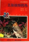 五彩缤纷的鸟