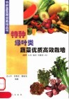 特种绿叶类蔬菜优质高效栽培