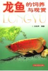 龙鱼的饲养与观赏