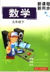新课程  新同步  数学  九年级  下 封面