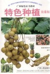 玉林特色种植  贵港版