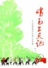 鸡毛上天记  安阳县南崔庄报告文学集  安歌