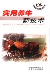 实用养牛新技术 封面