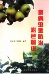 梨病虫害防治彩色图说