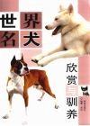 世界名犬欣赏与驯养