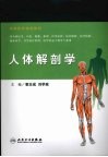 人体解剖学