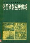 化石碳酸盐岩微相