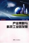 产业集群与科技工业园发展