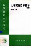大学英语自学指导  下 封面