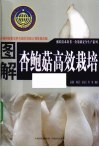 图解杏鲍菇高效栽培 封面