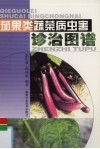 茄果类蔬菜病虫害诊治图谱