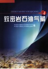 致密岩石油气藏  4