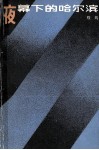 夜幕下的哈尔滨  上 电子书封面