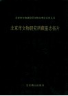 北京市文物研究所藏明志拓片