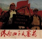 终南山下大寨花