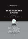 青海藏医药文化博物馆藏佉卢文尺牍