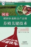 图说稻田小龙虾高产高效养殖关键技术