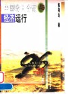 中国收入分配与经济运行