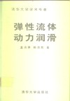 弹性流体动力润滑  清华大学学术专著