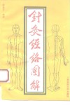 针灸经络图解