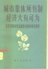 城市集体所有制经济大有可为  北京市解决劳动就业问题的情况调查