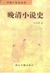 晚清小说史