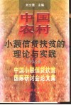 中国农村小额信贷扶贫的理论与实践  1996年中国小额信贷扶贫国际研讨会论文集
