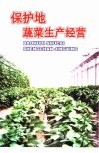 保护地蔬菜生产经营