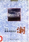变革中的文化潮  纪实文学作品集