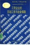 三资企业的劳动工资与社会保障