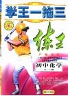 学王一拖三  练王·严师课练  初中化学  三年级  上学期 封面