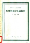 病理解剖学各论插图