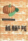 南瓜  西葫芦  笋瓜