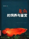龙鱼的饲养与鉴赏