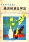 蔬菜病虫害防治