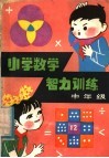 小学数学智力训练  中年级
