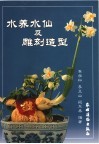 水养水仙及雕刻造型