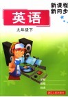 新课程  新同步  英语  九年级  下 封面