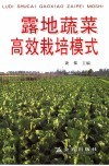 露地蔬菜高效栽培模式