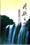 跨越之路  贵州和甘肃“十五”人口计生工作纪实 封面
