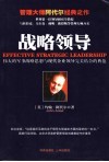 战略领导  伟大的军事战略思想与现代企业领导完美结合的典范