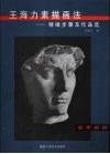 王海力素描画法  精细步骤及作品选