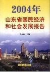2004年山东省国民经济和社会发展报告