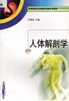 人体解剖学